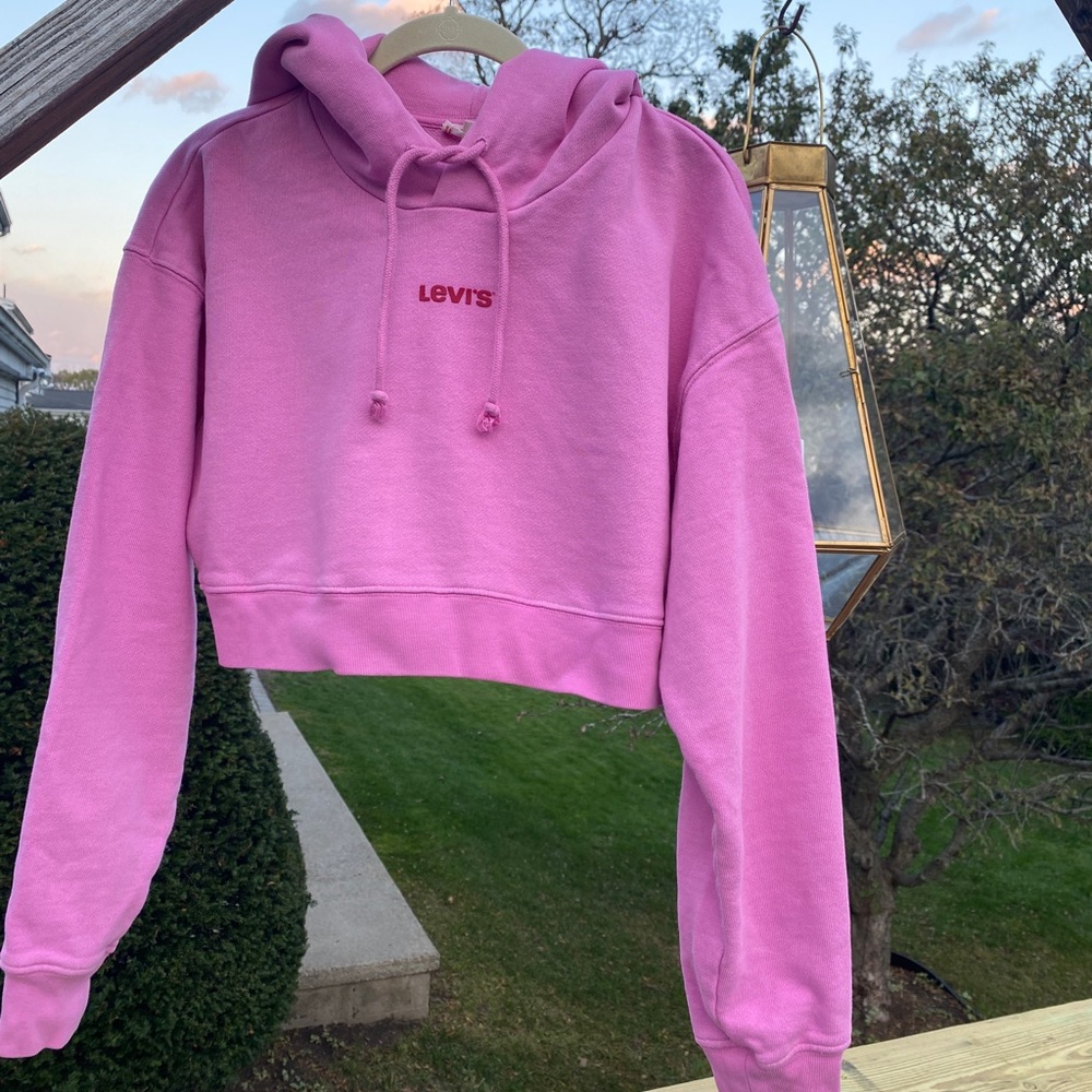 Levi’s Cropped Sweatshirt